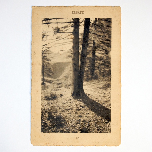 In album cover